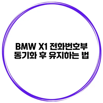 BMW X1 전화번호부 동기화 후 유지하는 법
