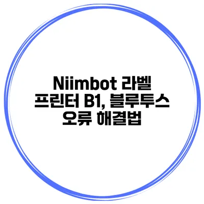 Niimbot 라벨 프린터 B1, 블루투스 오류 해결법