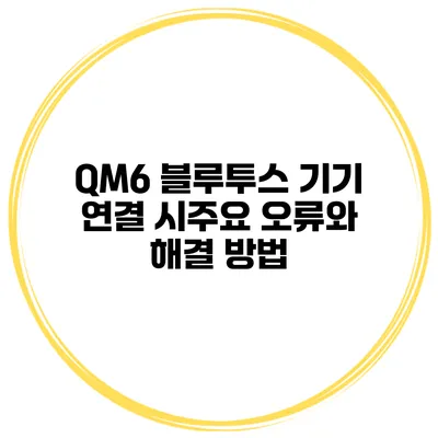 QM6 블루투스 기기 연결 시주요 오류와 해결 방법