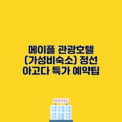 메이플 관광호텔 (가성비숙소) 정선 아고다 특가 예약팁