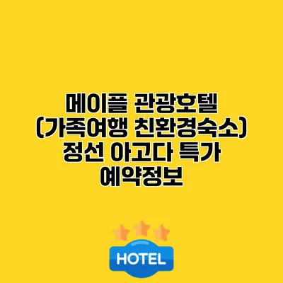 메이플 관광호텔 (가족여행 친환경숙소) 정선 아고다 특가 예약정보