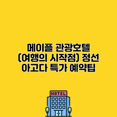 메이플 관광호텔 (여행의 시작점) 정선 아고다 특가 예약팁