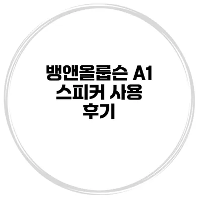 뱅앤올룹슨 A1 스피커 사용 후기