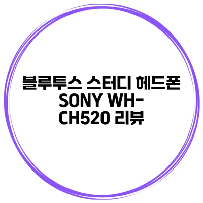 블루투스 스터디 헤드폰 SONY WH-CH520 리뷰