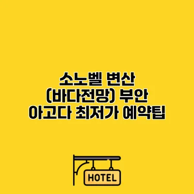 소노벨 변산 (바다전망) 부안 아고다 최저가 예약팁