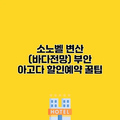 소노벨 변산 (바다전망) 부안 아고다 할인예약 꿀팁