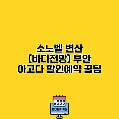 소노벨 변산 (바다전망) 부안 아고다 할인예약 꿀팁