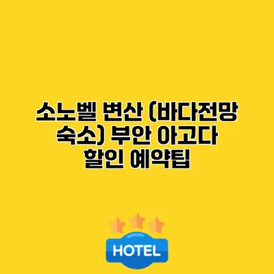 소노벨 변산 (바다전망 숙소) 부안 아고다 할인 예약팁