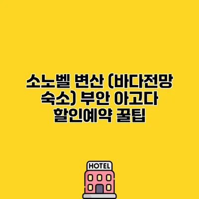 소노벨 변산 (바다전망 숙소) 부안 아고다 할인예약 꿀팁