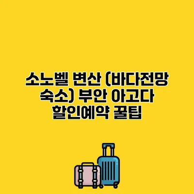 소노벨 변산 (바다전망 숙소) 부안 아고다 할인예약 꿀팁