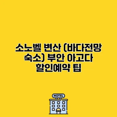 소노벨 변산 (바다전망 숙소) 부안 아고다 할인예약 팁