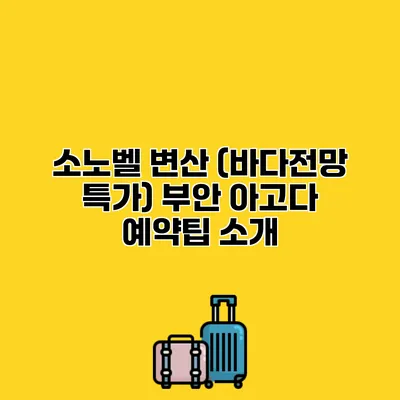 소노벨 변산 (바다전망 특가) 부안 아고다 예약팁 소개