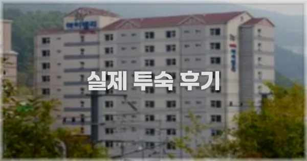 💬 실제 투숙 후기