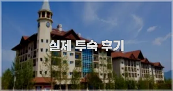 💬 실제 투숙 후기