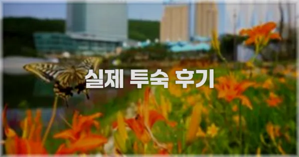 💬 실제 투숙 후기