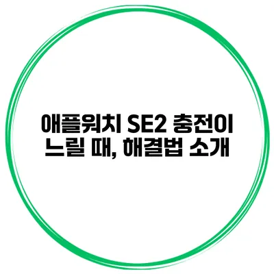 애플워치 SE2 충전이 느릴 때, 해결법 소개
