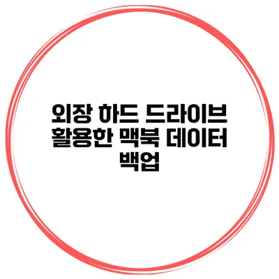 외장 하드 드라이브 활용한 맥북 데이터 백업
