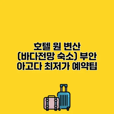 호텔 원 변산 (바다전망 숙소) 부안 아고다 최저가 예약팁